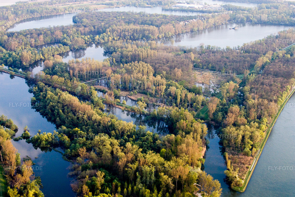 Luftbild: Fluß- Delta und Strom- Mündung am Rhein im Ortsteil Leopoldshafen in Eggenstein-Leopoldshafen im Bundesland Baden-Württemberg in Deutschland. Foto: IMG_17566.jpg vom 10.04.2009 durch Werner Riehm/FLY-FOTO.de