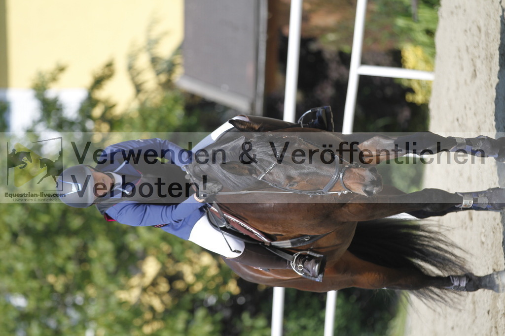 _MG_1814 | equestrian-live-com
