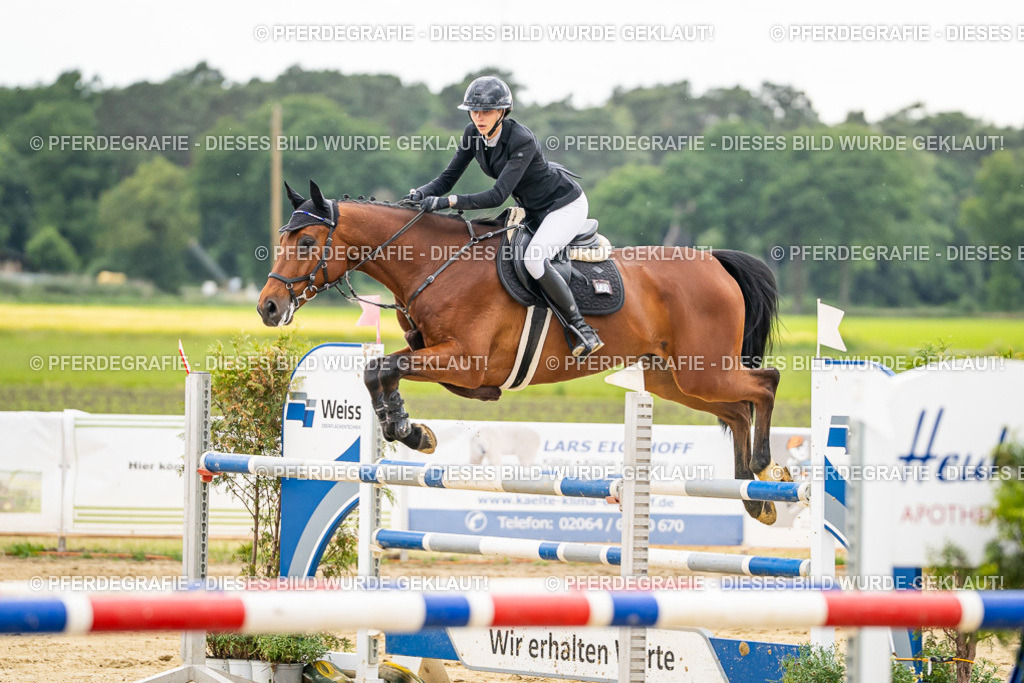 DSC06214 | Pferdegrafie