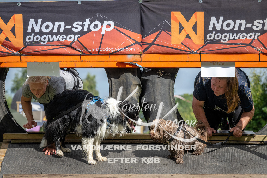 1115_ZZ92160 | kk-dogfotos