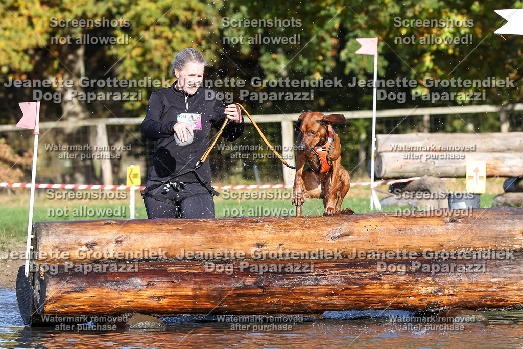 Dog Paparazzi - Strongdog 10-25-8658 | Dog Paparazzi Jeanette Grottendiek Fotografie & Videografie - Realisiert mit Pictrs.com