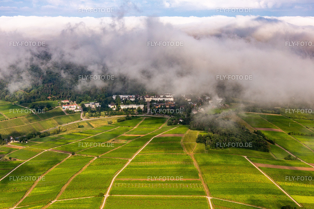 Dichte Wolken über dem Pfalzklinikum für Psychiatrie und Neurologie http://www.pfalzklinikum.de/ | Luftbild: Dichte Wolken über dem Pfalzklinikum für Psychiatrie und Neurologie http://www.pfalzklinikum.de/ in Klingenmünster im Bundesland Rheinland-Pfalz in Deutschland. Foto: IMG_142925.jpg vom 03.08.2024 durch ©2025 Werner Riehm fly-foto.de/copyright - Realisiert mit Pictrs.com