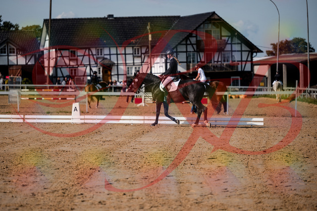 2026_10_03_Siefer-Hof_115511_Z63_30625318 | Professionelle Reitsport-, Turnier- und Eventfotografie von Robert Broda. Galerien mit ausgewählten und bearbeiteten Bildern direkt online ansehen und bestellen.