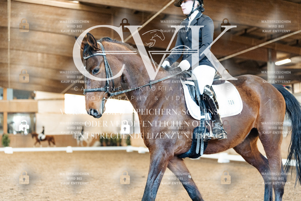 CK908792 | Turnierfotografie Pferdefotografie Trier Rheinland-Pfalz Pferdesport Reitsport Tierfotografie Sportfotografie Pferdevideo Pferdevideografie Equestrianvideography equestrianphotography  - Realized with Pictrs.com