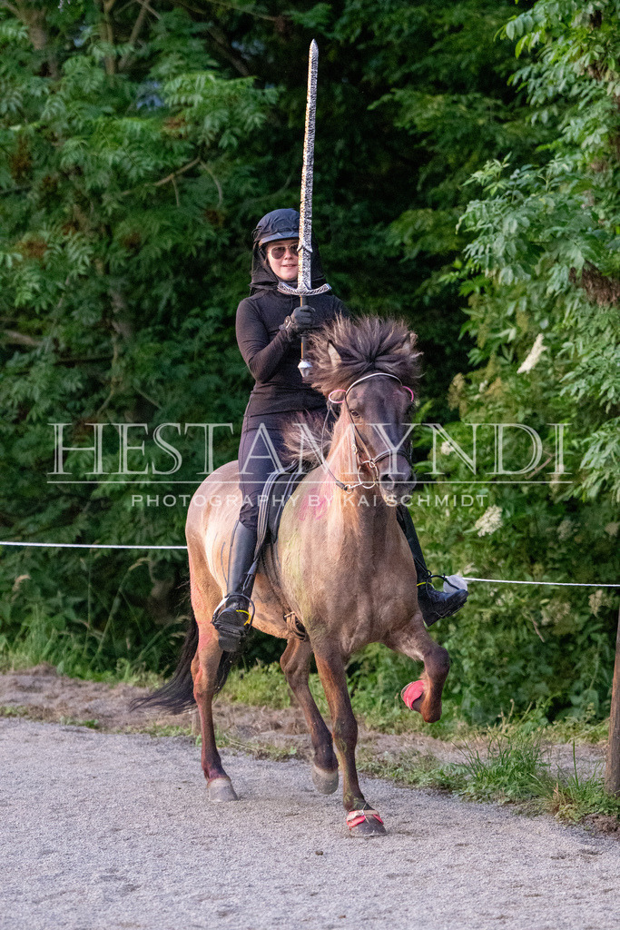 KAI07399 | Ihr sucht einen Fotografen für eure nächste OSI? Ich begleite auch euer Turnier für Islandpferde fotografisch.  - Realisiert mit Pictrs.com
