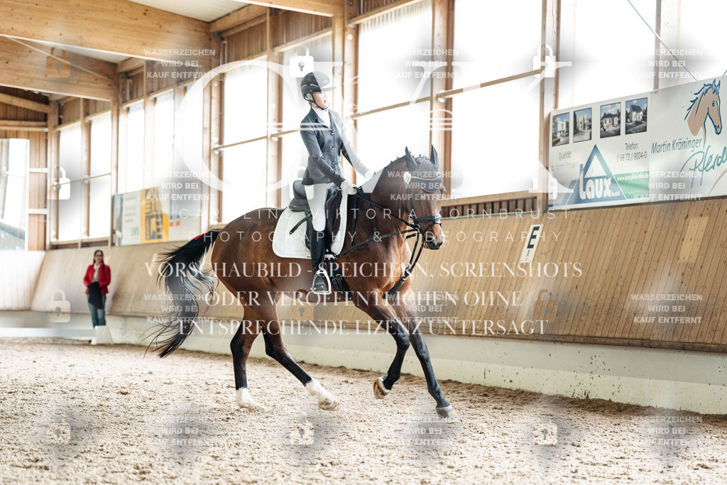 CK900720 | Turnierfotografie Pferdefotografie Trier Rheinland-Pfalz Pferdesport Reitsport Tierfotografie Sportfotografie Pferdevideo Pferdevideografie Equestrianvideography equestrianphotography  - Realisiert mit Pictrs.com