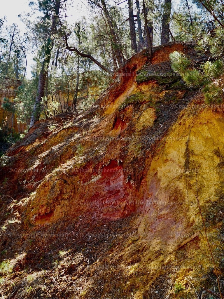 IMG_2891 | OLYMPUS DIGITAL CAMERA          - Realisiert mit Pictrs.com