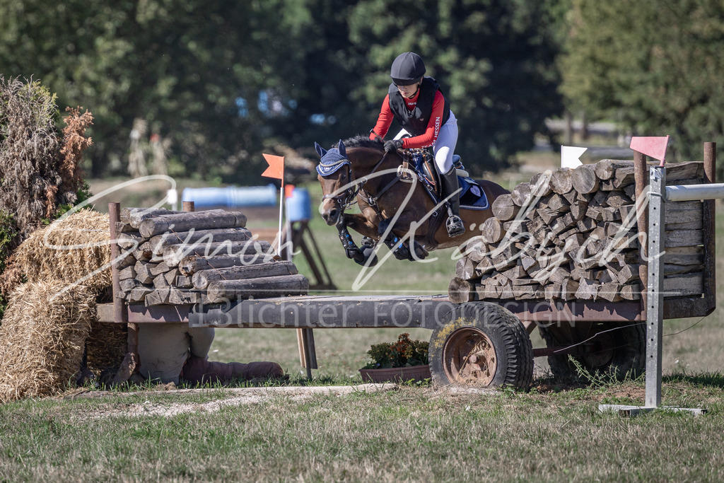 20260906-_3LI2950 | Tierfotografie Pferde, Hunde, Katzen, Haustiere.
Turnierfotografie Reitturniere, Reiten, Springreiten, Dressur in Hanau, dem Main-Kinzig-Kreis und dem Rhein-Main- Gebiet um Frankfurt