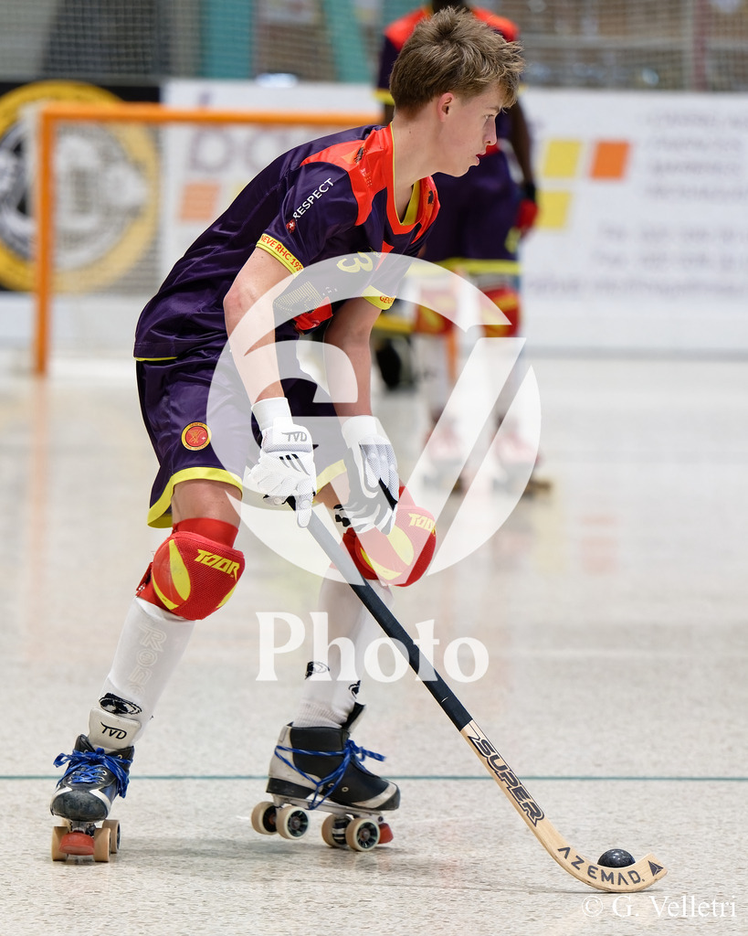 DSC_6534 | Velletri Photo