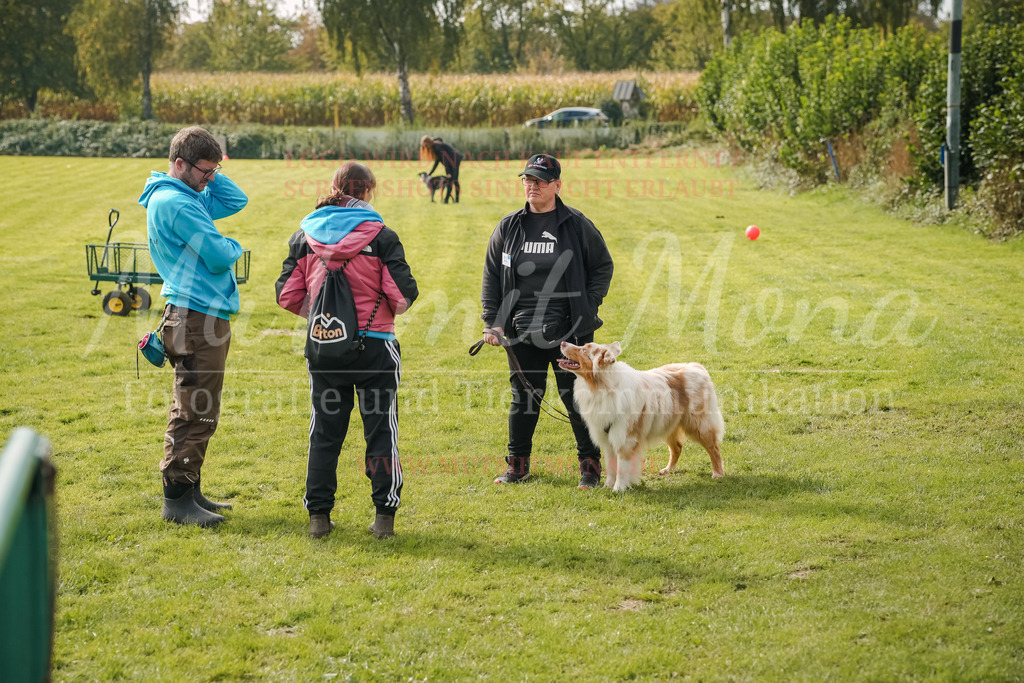 20250928_Hunderennen-344 | MuT (Mensch und Tier) mit Mona - Fotografie und Tierkommunikation - Realisiert mit Pictrs.com