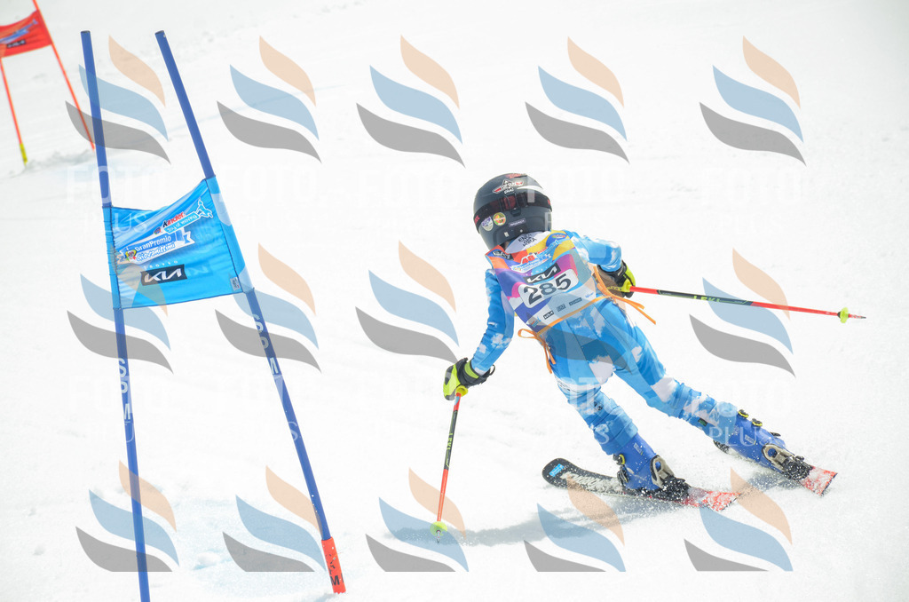 _ELE8016 | holidayphoto