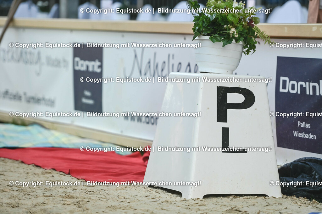 D78_3383 | equistock