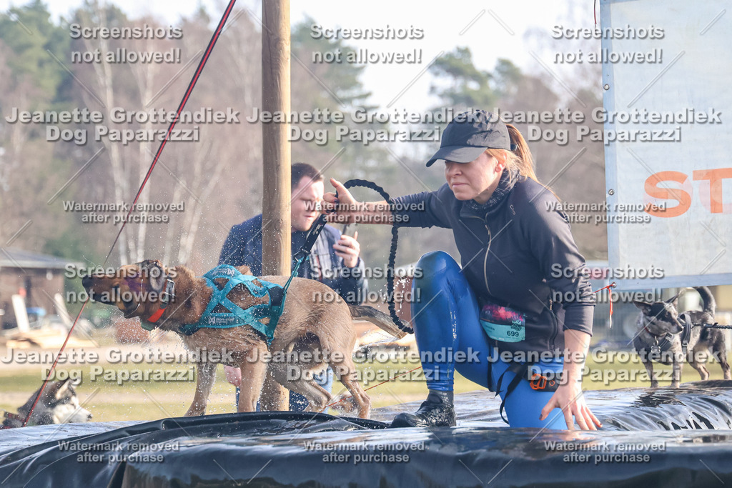 Dog Paparazzi - Strongdog North Mrz26-225 | Dog Paparazzi Jeanette Grottendiek Fotografie & Videografie - Realisiert mit Pictrs.com