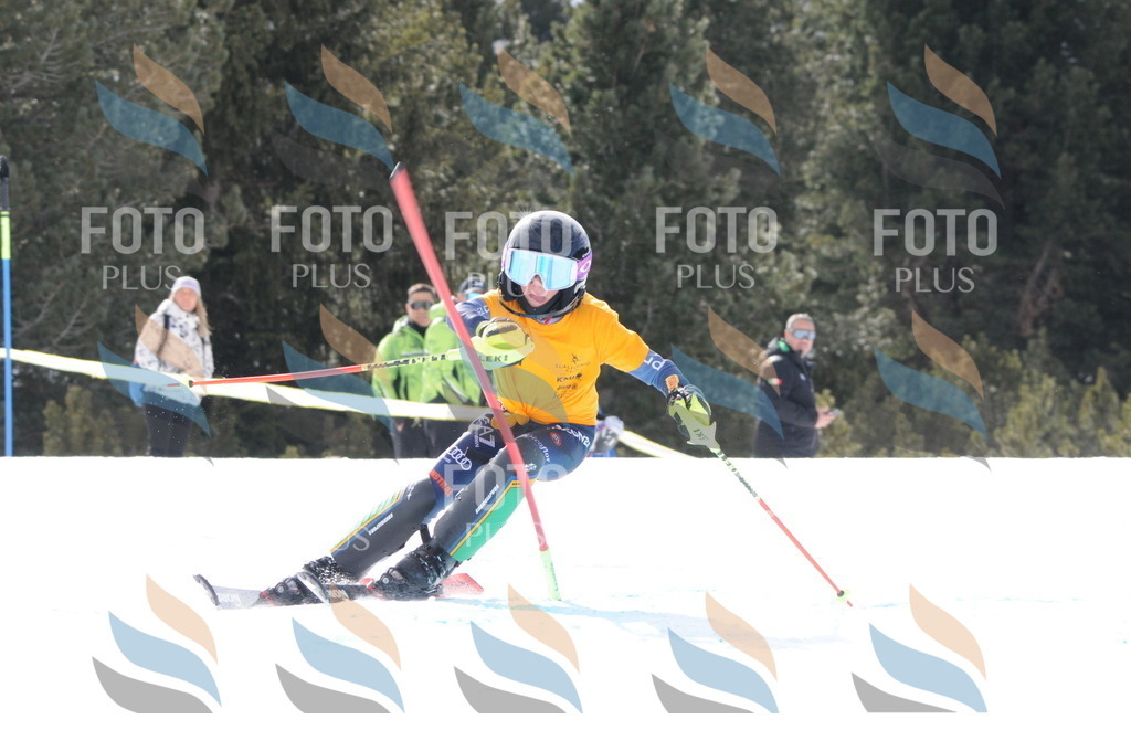 C7528 | holidayphoto