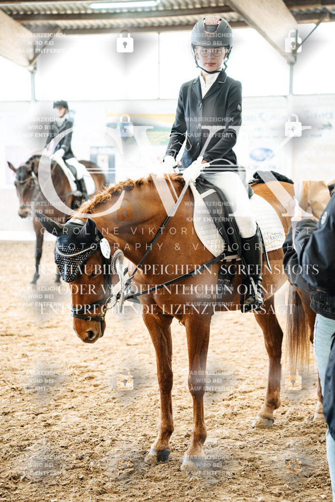 CK703094 | Turnierfotografie Pferdefotografie Trier Rheinland-Pfalz Pferdesport Reitsport Tierfotografie Sportfotografie Pferdevideo Pferdevideografie Equestrianvideography equestrianphotography  - Realisiert mit Pictrs.com