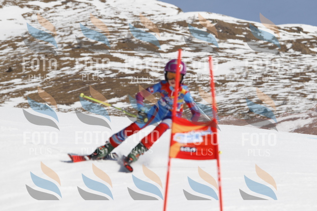 _U3G0074 | holidayphoto