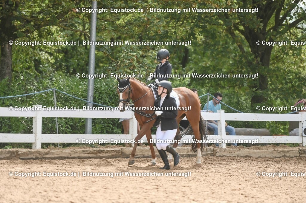 20230716_11_Führzügel-WB_0185 | equistock
