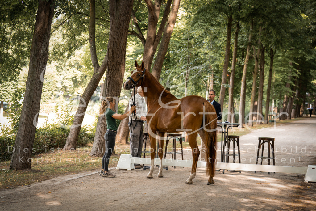 FrPfM00004 | Leoni Ertmer Photography - Realisiert mit Pictrs.com