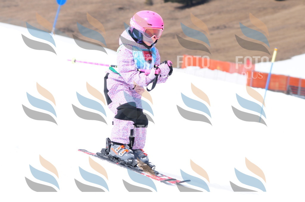 A3679 | holidayphoto