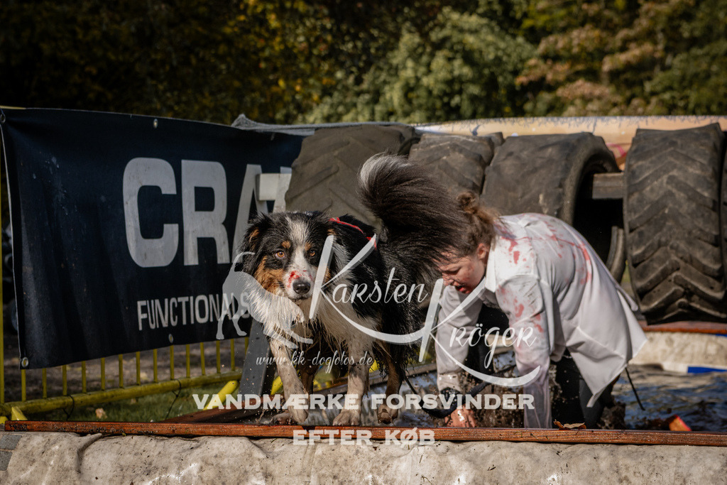 1357_ZZ93463 | kk-dogfotos