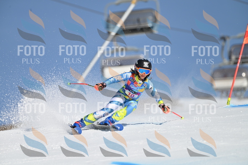 BGV_7748 | holidayphoto