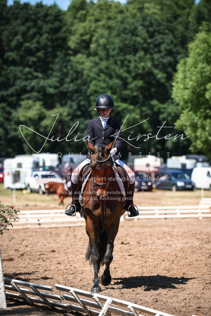 DSC_3327 | Pferde- und Turnierfotografie in Westsachsen. Pferdeportraits, Auftragszeichnungen und intuitive Kunst.