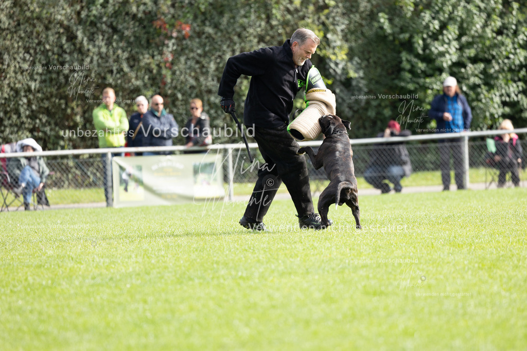 _16A5450 | Einzigartige Fotos von Hunden & Menschen –Actionfotos, Portraits, Vereinsaufnahmen & Paarshootings – authentisch, lebendig & mit Herz.