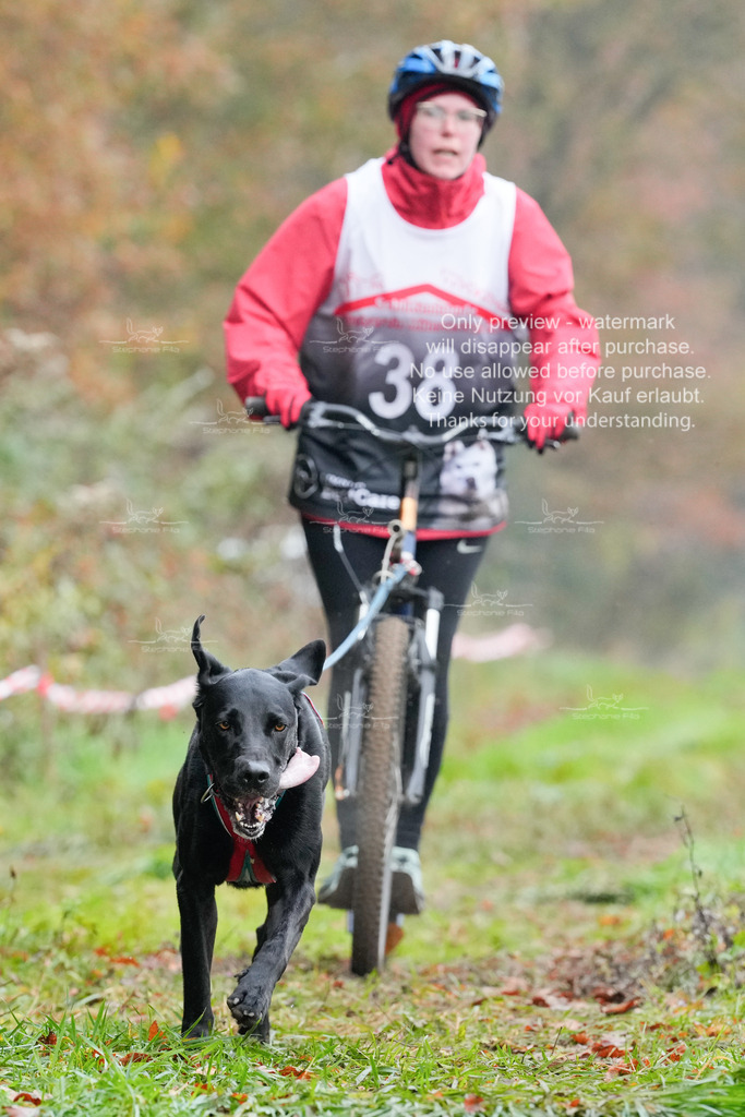 AusschnitteSa-67 | stephaniefillaphotographie - Realisiert mit Pictrs.com