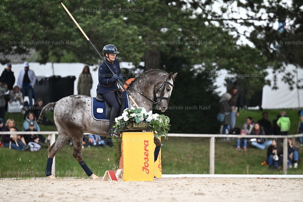 PI26_ST_Sara_Landvogt226_3268.JPG | working equitationturnier fotograf videograf stoibphotography marixx film working equitation deutschland reitsport turnierfotografie eventfotografie equestrian events