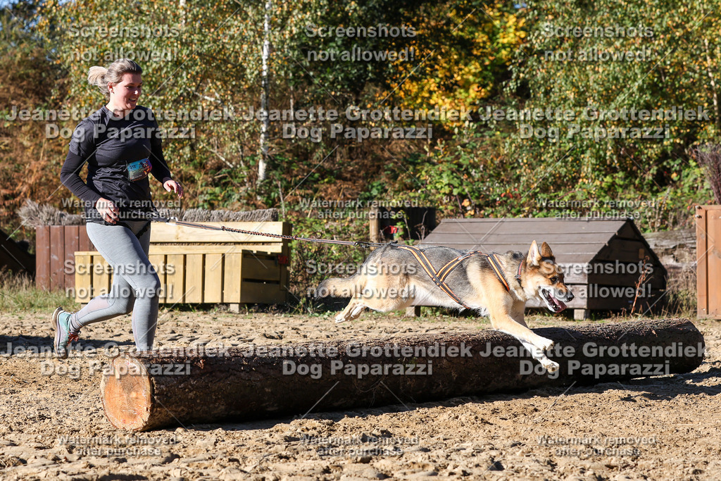 Dog Paparazzi - Strongdog 10-25-2414 | Dog Paparazzi Jeanette Grottendiek Fotografie & Videografie - Realisiert mit Pictrs.com