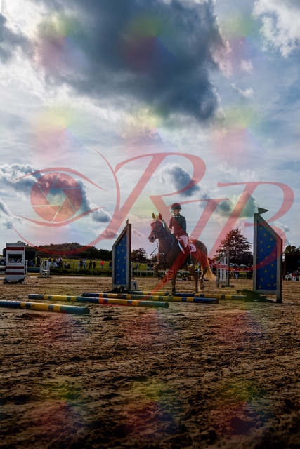 2026_10_03_Siefer-Hof_144546_Z63_05401906 | Professionelle Reitsport-, Turnier- und Eventfotografie von Robert Broda. Galerien mit ausgewählten und bearbeiteten Bildern direkt online ansehen und bestellen.
