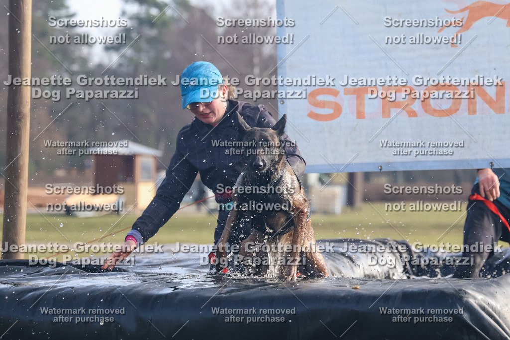 Dog Paparazzi - Strongdog North Mrz26-418 | Dog Paparazzi Jeanette Grottendiek Fotografie & Videografie - Realisiert mit Pictrs.com