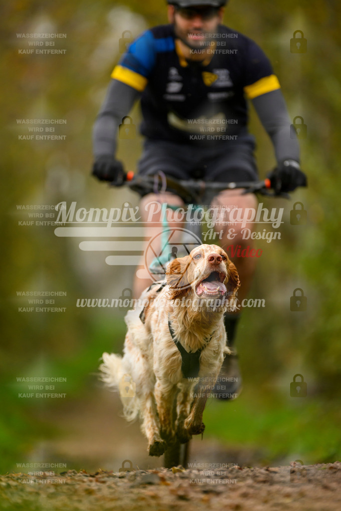 MompixPhotography_20TSB_E6_Bike-99 | mompixphotography