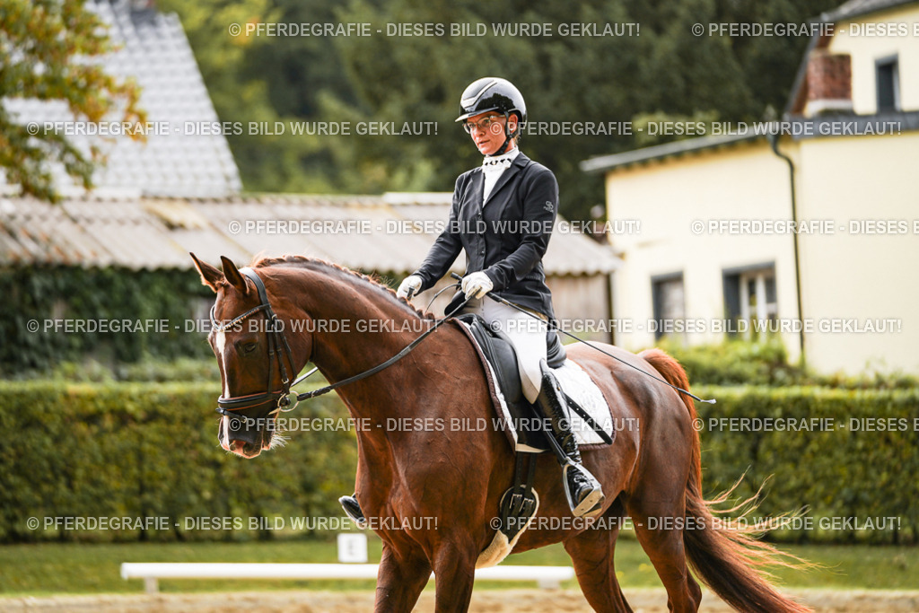 DSC01661 | Pferdegrafie