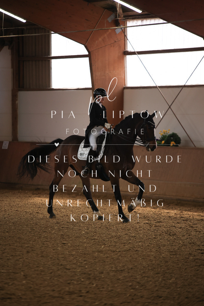 IMGT4422 | pl-fotografie