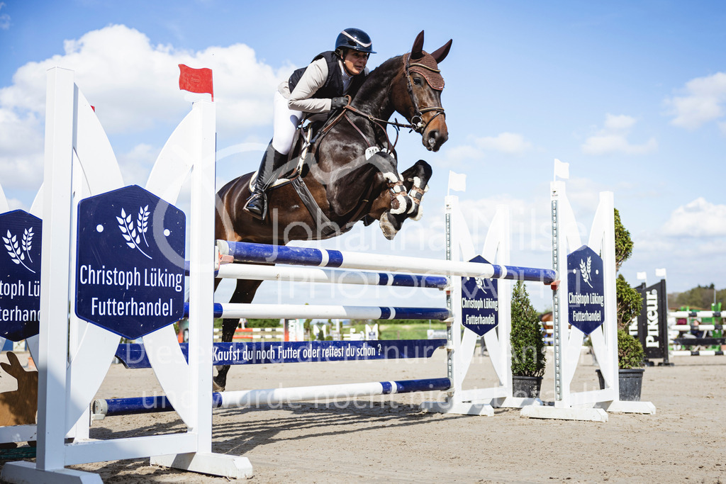 250419_Frühlingsfest_Stil-L-635 | Deine schönsten Turniermomente als professionelle Fotos! Entdecke hochwertige Pferdesport-Fotografie im Online-Shop. Jetzt Fotos finden & bestellen!