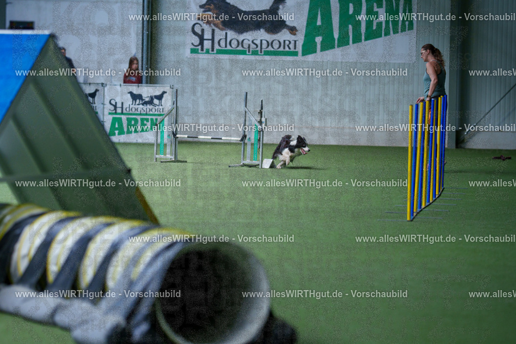 @allesWIRTHgut_Tierfotografie - www.allesWIRTHgut.de - 2604251251-7R502960 | Professionelle Tierfotografie in Mönchengladbach von Daniel Wirth (allesWIRTHgut). Liebevolle & natürliche Bilder von Hunden & Katzen für unvergessliche Erinnerungen.