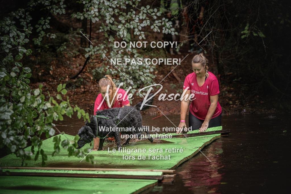 nelerasche_Wingst_Sa1330-1400_184 | nelerasche