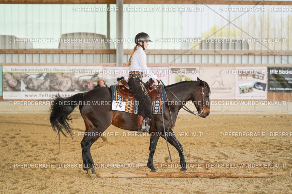 DSC06175 | Pferdegrafie