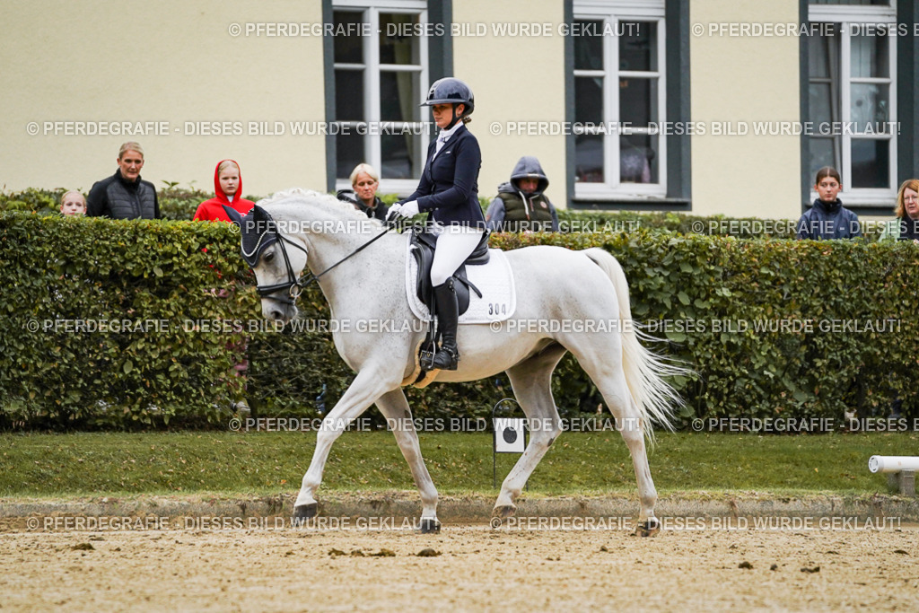 DSC06593 | Pferdegrafie