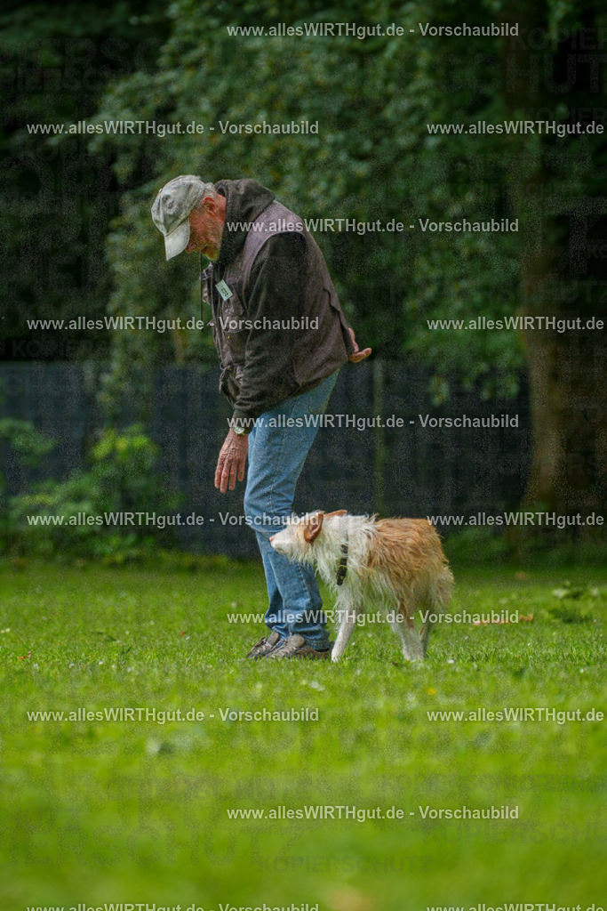 @allesWIRTHgut_Tierfotografie - www.allesWIRTHgut.de - 7R501315 | Professionelle Tierfotografie in Mönchengladbach von Daniel Wirth (allesWIRTHgut). Liebevolle & natürliche Bilder von Hunden & Katzen für unvergessliche Erinnerungen.