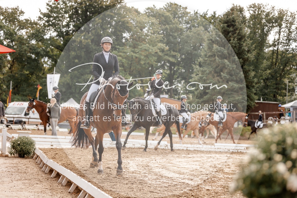3I6A7189 | Stimmungsvolle Portraits und Reitsportfotografie im Ruhrgebiet und im Münsterland.

Pferdefotografie, Hundefotografie, Tierfotografie, Reportagen, Portraits von Tier und Mensch, Turnierfotografie in Bochum, Recklinghausen, Marl, Haltern am See, Dülmen.. - Realisiert mit Pictrs.com