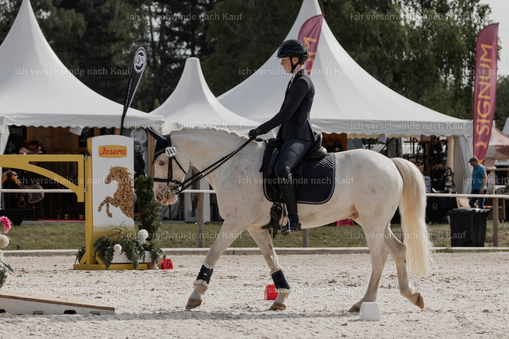 WE_ST_Stoib_341_PI2025_887 | Pferd International München 2025