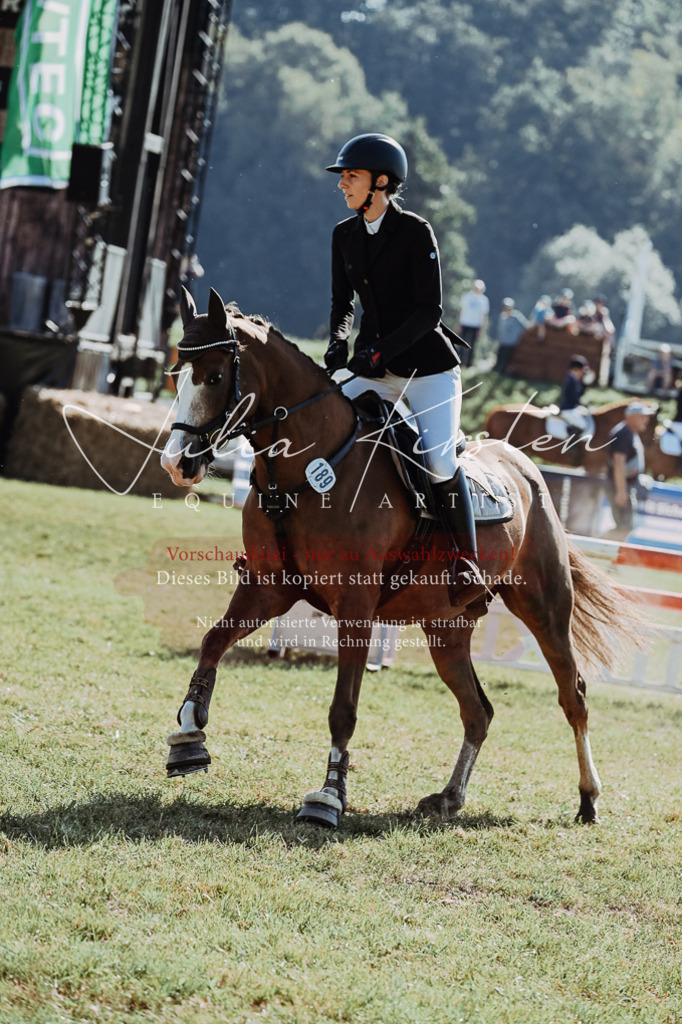 DSC_5407 | Pferde- und Turnierfotografie in Westsachsen. Pferdeportraits, Auftragszeichnungen und intuitive Kunst.