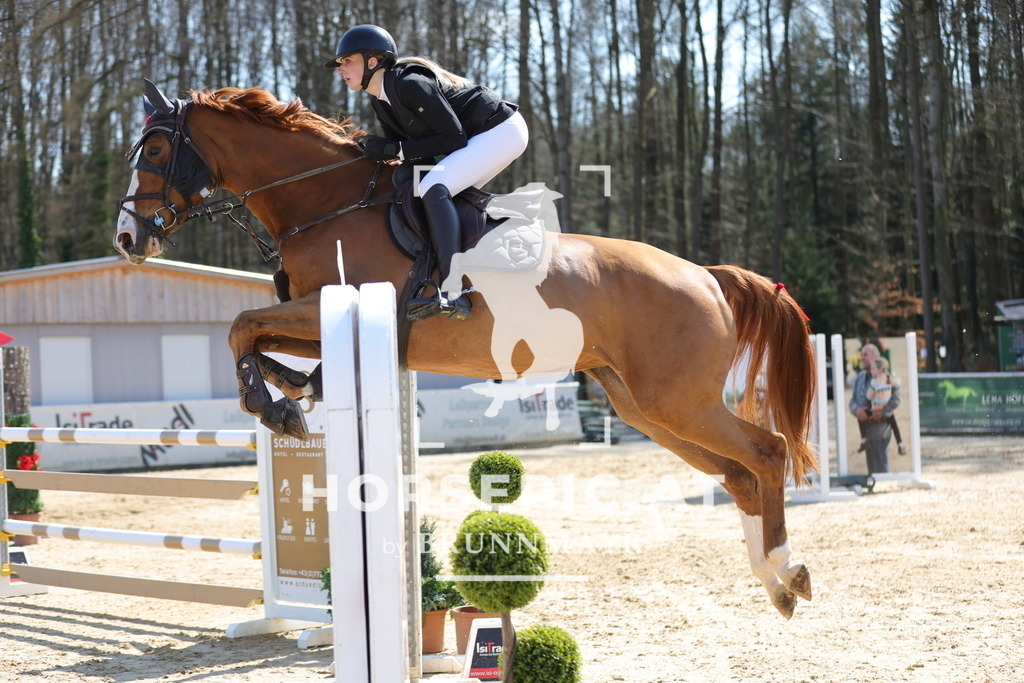 0P6A1202 | Willkommen bei Brunnmayr - Design & Fotografie – Ihrem Spezialisten für Reitturniere und Pferdeveranstaltungen in Oberösterreich, Salzburg und Bayern! Seit über 17 Jahren sind wir leidenschaftlich dabei.