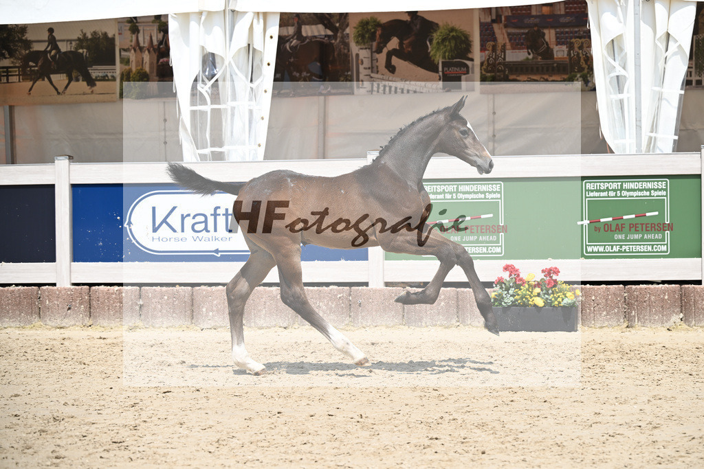 Cornets Balou x Casall_Gross_12250719 | hf-fotografie - Realisiert mit Pictrs.com