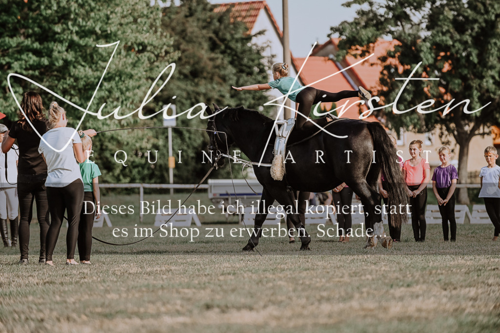 DSC_9862 | Pferde- und Turnierfotografie in Westsachsen. Pferdeportraits, Auftragszeichnungen und intuitive Kunst.