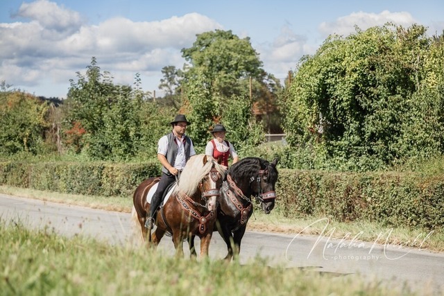 7V6A1423 | natalia-nirschl-photography