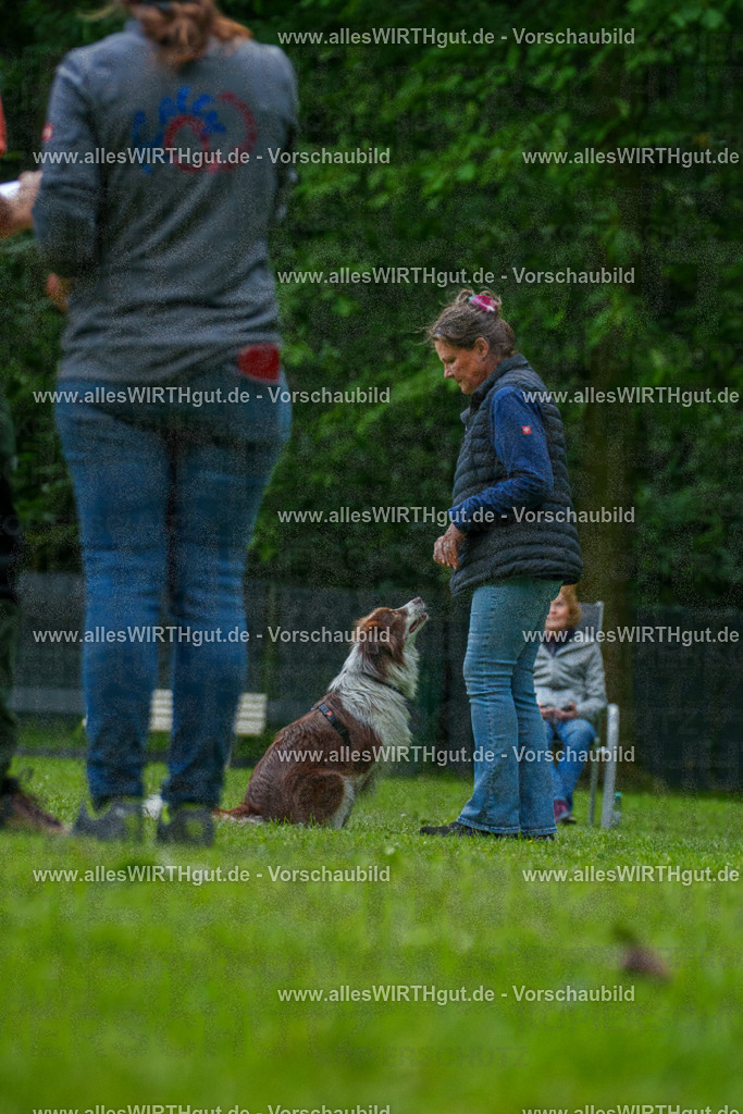 @allesWIRTHgut_Tierfotografie - www.allesWIRTHgut.de - 7R505479 | Professionelle Tierfotografie in Mönchengladbach von Daniel Wirth (allesWIRTHgut). Liebevolle & natürliche Bilder von Hunden & Katzen für unvergessliche Erinnerungen.