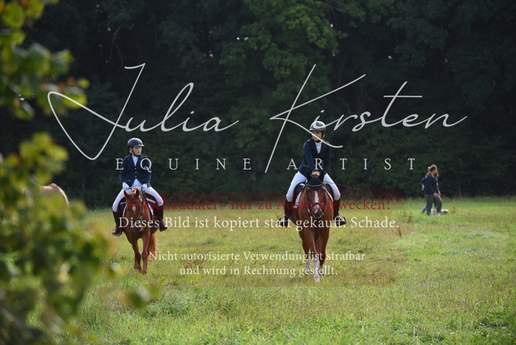 DSC_8538 | Pferde- und Turnierfotografie in Westsachsen. Pferdeportraits, Auftragszeichnungen und intuitive Kunst.